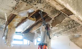 Best Commercial Mold Inspection  in Moosup, CT